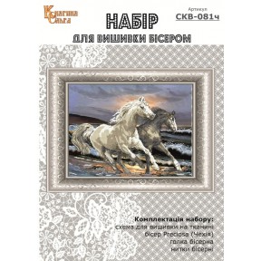 Набір для вишивки бісером Галопом по хвилях. Арт. ВКВ-81ч