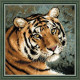 Набор для вышивки Риолис 1282 Амурский тигр фото