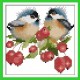 Птицы на ягодах Набор для вышивания крестом с печатной схемой на ткани Joy Sunday D738