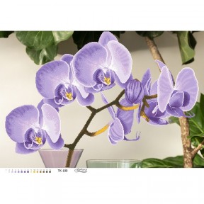 Схема картины Стильная фиолетовая орхидея для вышивки бисером на габардине ТК100пн8658