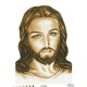 Схема картины Иисус коричневый для вышивки бисером на ткани ТО008ан4560