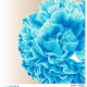 Схема картины Роскошный бирюзовый пион для вышивки бисером на габардине ТК074пн5858