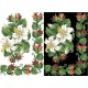Канва с нанесенным рисунком для вышивки бисером и нитками на водорастворимом клеевом флизелине ФЛ037фн2030