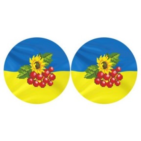 Набор для вышивания нитками Барвиста Вышиванка С Украиной в сердце 37х18 ТР676ан3718i
