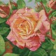 Троянда Набір для вишивання хрестиком з друкованою схемою на