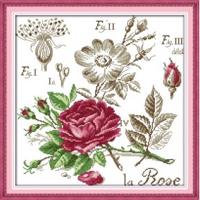 Троянди Набір для вишивання хрестиком з друкованою  схемою на тканині Joy Sunday H526