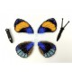 Callicora sapphire. Бабочка Набор для вышивания крестом ArtInspirate BUT-069