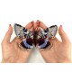 Catocala fraxini. Бабочка Набор для вышивания крестом ArtInspirate BUT-040
