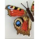 Peacock (Aglais io). Метелик Набір для вишивання хрестиком
