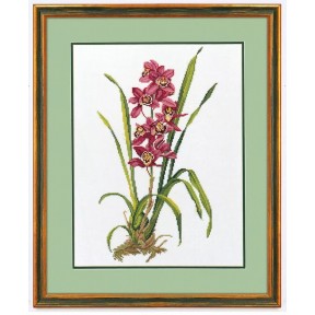 Красная орхидея Набор для вышивания крестом Eva Rosenstand