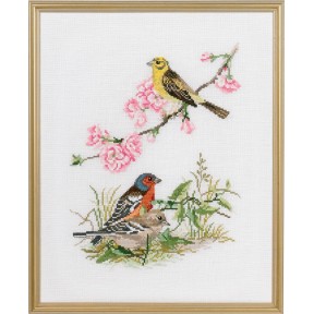 Птицы Набор для вышивания крестом Eva Rosenstand 12-735