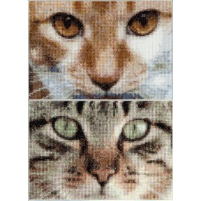 Набор для вышивки крестом Cats Tess + Simba Aida Thea Gouverneur 543A