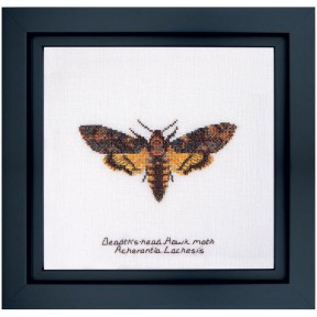 Набір для вишивання хрестиком Death's-head Hawk moth Linen Thea