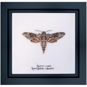 Набір для вишивання хрестиком Sphinx moth Linen Thea Gouverneur