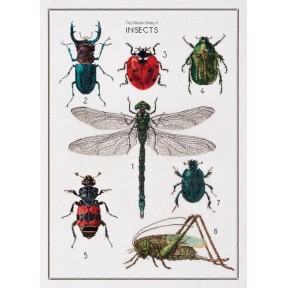 Набір для вишивання хрестиком The History of Insects Linen Thea