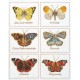 Набір для вишивання хрестиком Butterflies Linen Thea Gouverneur