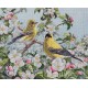 Птахи на цвіті яблуні Набор для вишивання хрестом Classic Design 4580