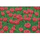 Сад тюльпанов Набор для вышивания крестом с печатной схемой на ткани Joy Sunday F491JS