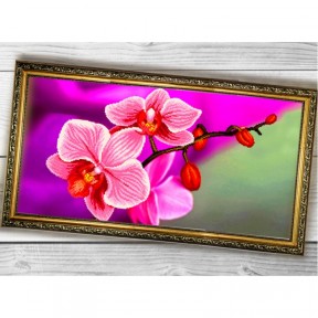 Рожева орхідея Схема для вишивки бісером Biser-Art 3060004ба