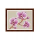 Набір для вишивки хрестиком Dantel 022 Орхідеї рожеві