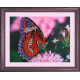 Набор для вышивания бисером Butterfly 102 Бабочка фото