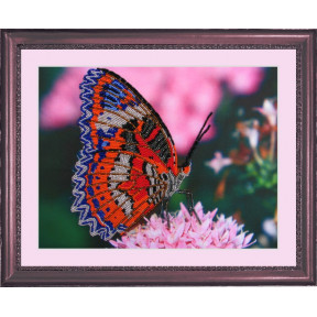 Набор для вышивания бисером Butterfly 102 Бабочка