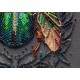 Изумрудный жук Набор для вышивки бисером Абрис Арт AMB-105