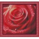 Роза в росе Электронная схема для вышивания крестиком Инна Холодная КВ-0074ИХ