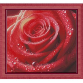 Роза в росе Электронная схема для вышивания крестиком Инна Холодная КВ-0074ИХ