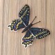 Papilio polyxenes. Бабочка Набор для вышивания крестом ArtInspirate BUT-03