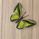 Ornithoptera goliath. Бабочка Набор для вышивания крестом ArtInspirate BUT-20