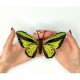 Ornithoptera goliath. Метелик Набір для вишивання хрестиком ArtInspirate BUT-20