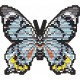 Метелик-магніт "Papilio laglaizei" ArtSolo Набір алмазного живопису БАТ28