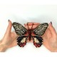 Papilio rumanzovia. Бабочка Набор для вышивания крестом ArtInspirate BUT-22