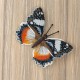 Hypolimnas dexithea. Метелик Набір для вишивання хрестиком ArtInspirate BUT-44