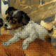 Набор для вышивки крестом Риолис РТ-0052 Жеребенок и щенок фото
