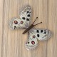 Parnassius apollo. Метелик Набір для вишивання хрестиком ArtInspirate BUT-59