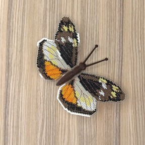 Dismorphia eunoe. Бабочка Набор для вышивания крестом ArtInspirate BUT-61