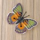 Euphaedra Edwardsi. Метелик Набір для вишивання хрестиком ArtInspirate BUT-63