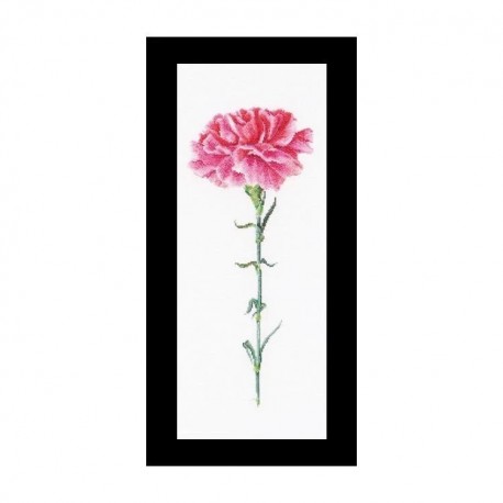 Carnation Pink Aida Набор для вышивки крестом Thea Gouverneur gouverneur_467A