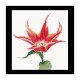 Red/Orange Lily flowering tulip Linen Набор для вышивки крестом Thea Gouverneur gouverneur_524