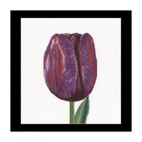 Purple Triumph tulip Linen Набор для вышивки крестом Thea Gouverneur gouverneur_514