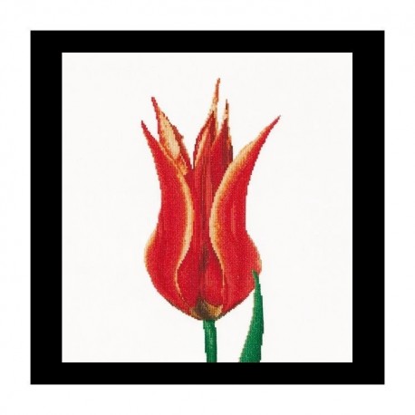 Red/Yellow Lily flowering tulip Aida Набір для вишивання хрестиком Thea Gouverneur gouverneur_515A