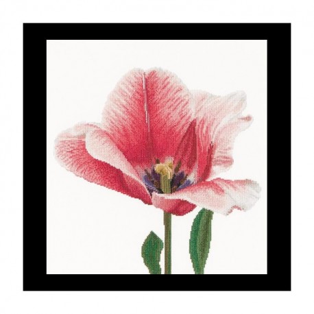 Pink Darwin hybrid tulip Linen Набор для вышивки крестом Thea Gouverneur gouverneur_518