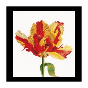 Red/Yellow Parrot tulip Aida Набір для вишивання хрестиком Thea Gouverneur gouverneur_519A