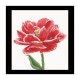 Red/White edged Early double tulip Aida Набор для вышивки крестом Thea Gouverneur gouverneur_520A