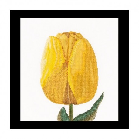 Yellow hybrid tulip Aida Набор для вышивки крестом Thea Gouverneur gouverneur_522A