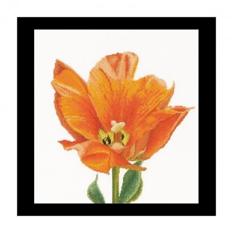 Orange Triumph tulip Linen Набор для вышивки крестом Thea Gouverneur gouverneur_523