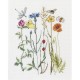 Wildflowers Linen Набор для вышивки крестом Thea Gouverneur gouverneur_577