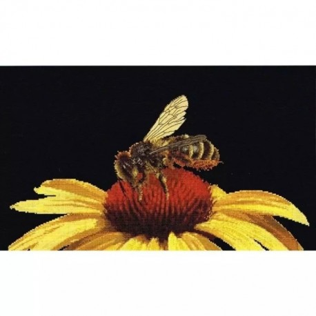 Bee on Yellow Echinacea Black Aida Набір для вишивання хрестиком Thea Gouverneur gouverneur_585.05